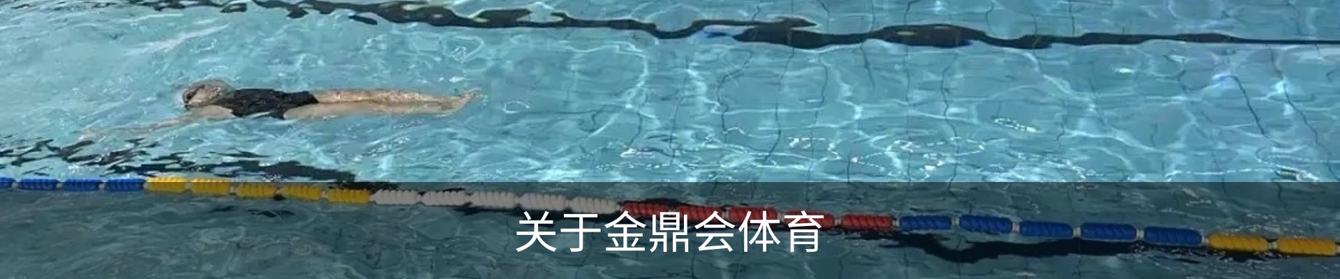 关于金鼎会体育